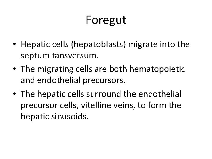 Foregut • Hepatic cells (hepatoblasts) migrate into the septum tansversum. • The migrating cells