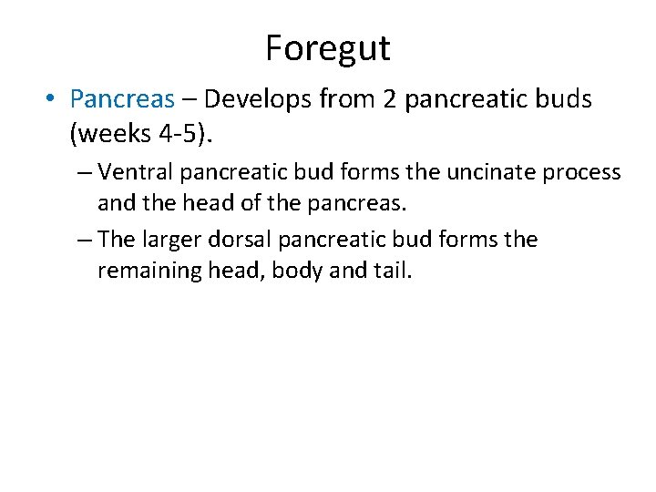 Foregut • Pancreas – Develops from 2 pancreatic buds (weeks 4 -5). – Ventral