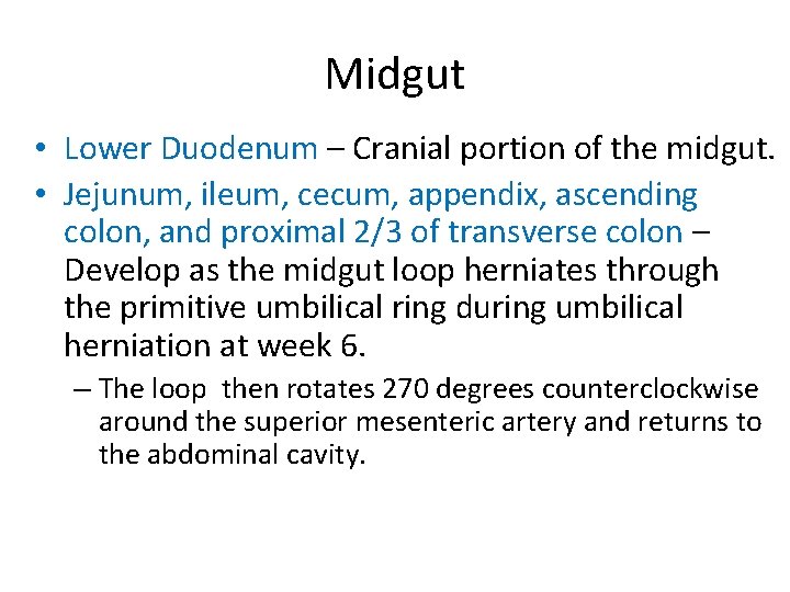 Midgut • Lower Duodenum – Cranial portion of the midgut. • Jejunum, ileum, cecum,