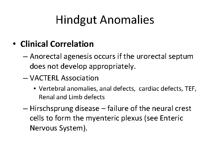 Hindgut Anomalies • Clinical Correlation – Anorectal agenesis occurs if the urorectal septum does