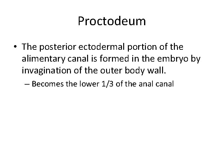 Proctodeum • The posterior ectodermal portion of the alimentary canal is formed in the