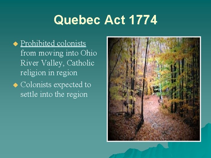 Quebec Act 1774 Prohibited colonists from moving into Ohio River Valley, Catholic religion in