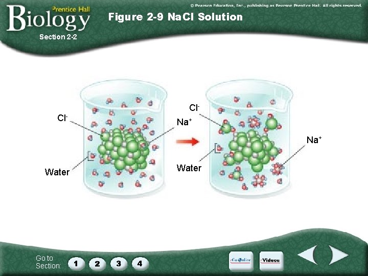 Figure 2 -9 Na. CI Solution Section 2 -2 Cl. Cl- Na+ Water Go