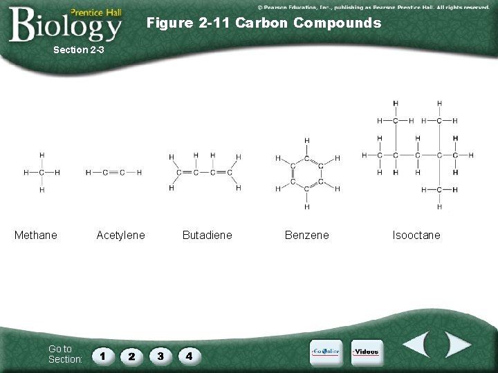 Figure 2 -11 Carbon Compounds Section 2 -3 Methane Go to Section: Acetylene Butadiene