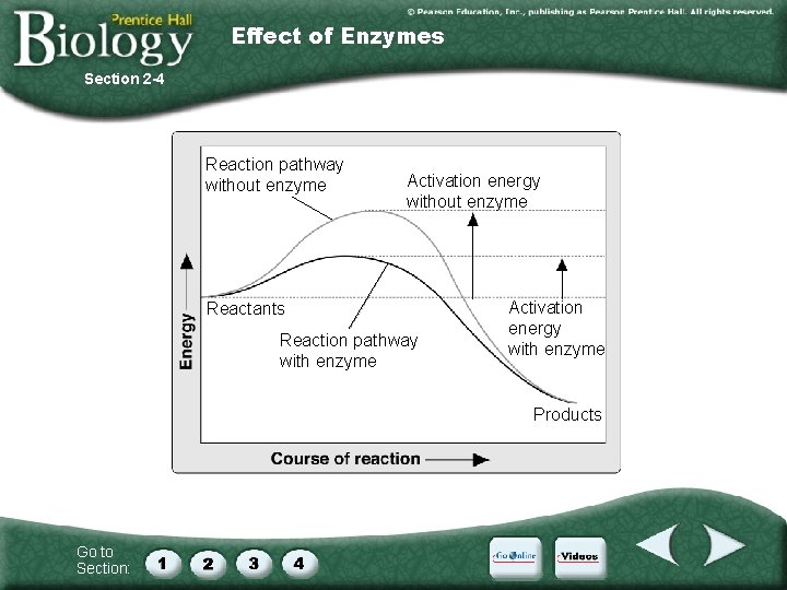 Effect of Enzymes Section 2 -4 Reaction pathway without enzyme Activation energy without enzyme