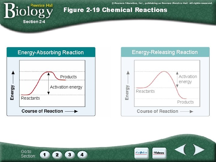 Figure 2 -19 Chemical Reactions Section 2 -4 Energy-Absorbing Reaction Energy-Releasing Reaction Activation energy