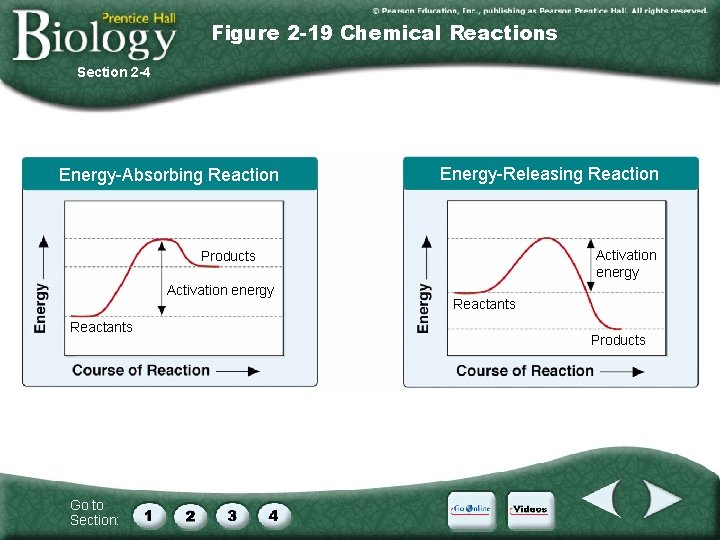 Figure 2 -19 Chemical Reactions Section 2 -4 Energy-Absorbing Reaction Energy-Releasing Reaction Activation energy