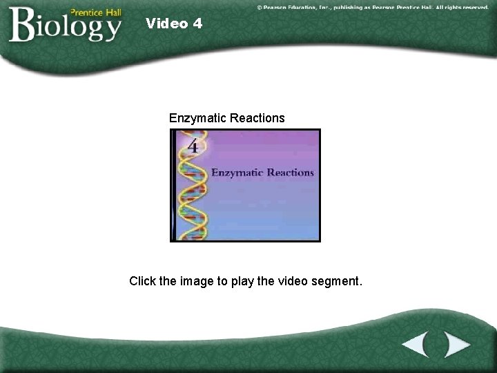 Video 4 Enzymatic Reactions Click the image to play the video segment. 