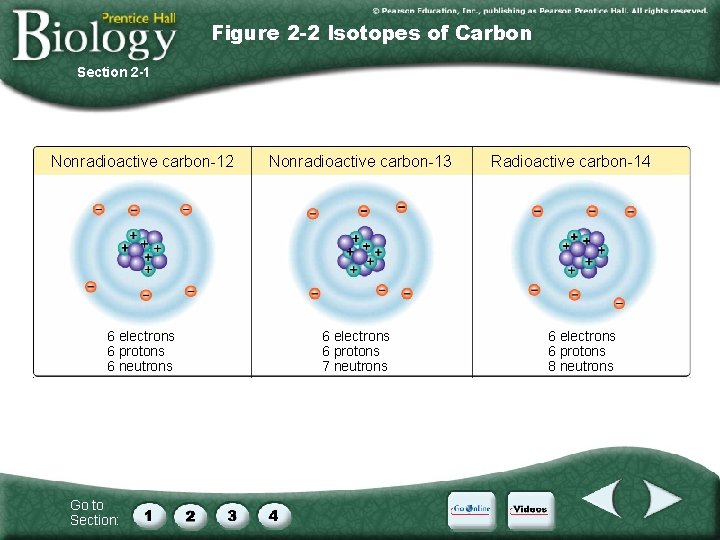 Figure 2 -2 Isotopes of Carbon Section 2 -1 Nonradioactive carbon-12 6 electrons 6