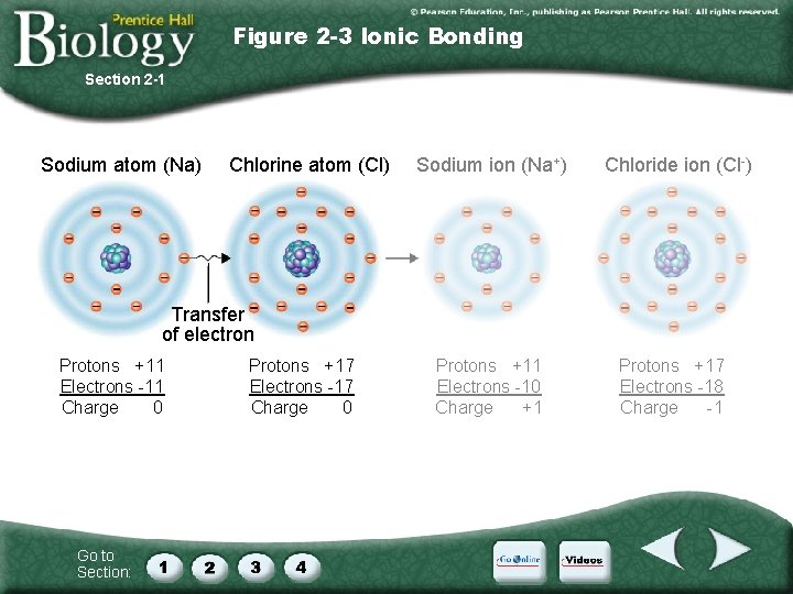 Figure 2 -3 Ionic Bonding Section 2 -1 Sodium atom (Na) Chlorine atom (Cl)