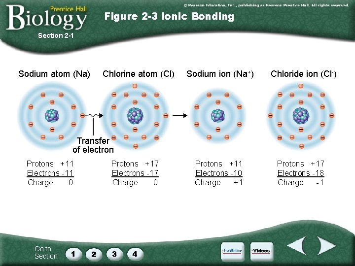 Figure 2 -3 Ionic Bonding Section 2 -1 Sodium atom (Na) Chlorine atom (Cl)