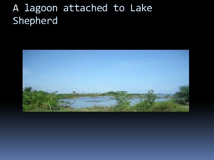 A lagoon attached to Lake Shepherd 