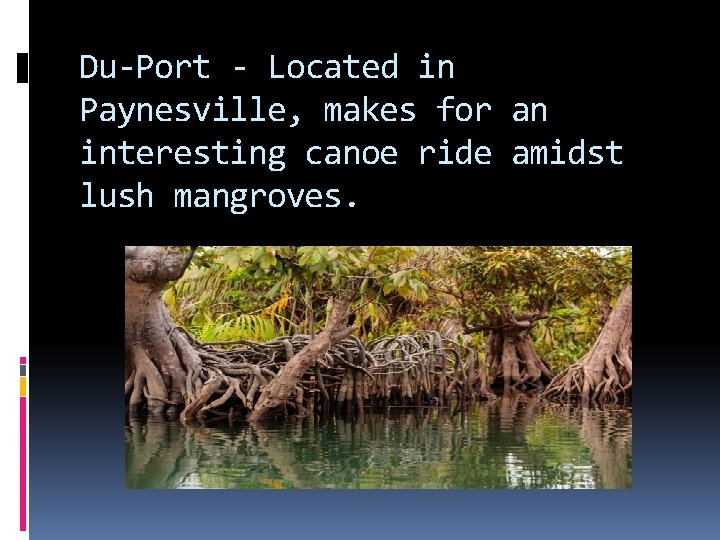 Du-Port - Located in Paynesville, makes for an interesting canoe ride amidst lush mangroves.