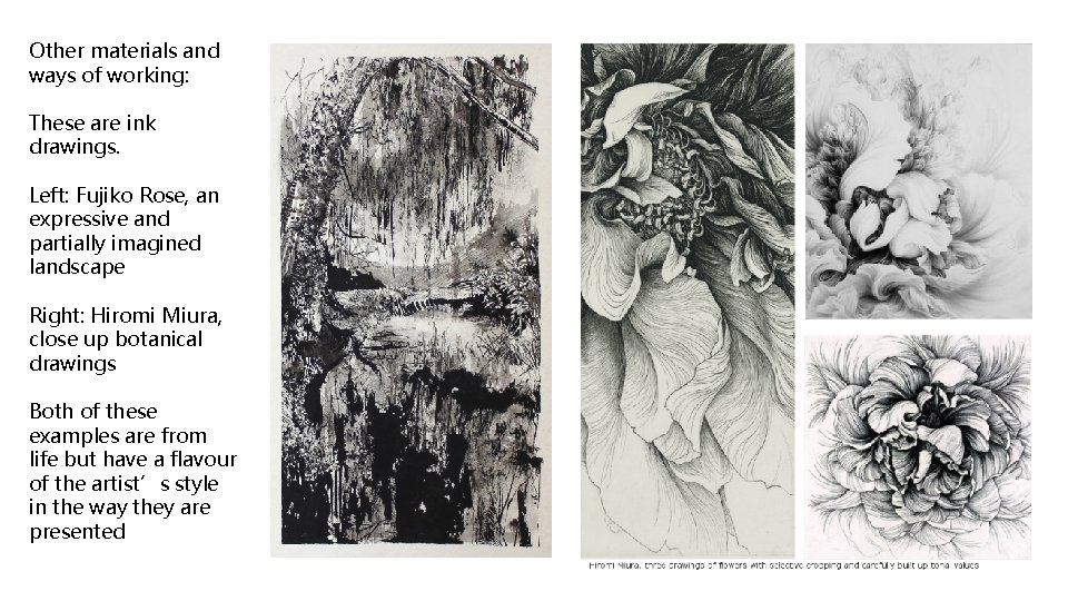 Other materials and ways of working: These are ink drawings. Left: Fujiko Rose, an