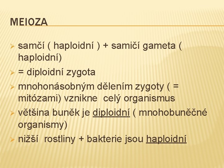 MEIOZA samčí ( haploidní ) + samičí gameta ( haploidní) Ø = diploidní zygota