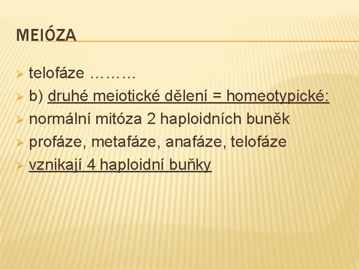 MEIÓZA telofáze ……… Ø b) druhé meiotické dělení = homeotypické: Ø normální mitóza 2