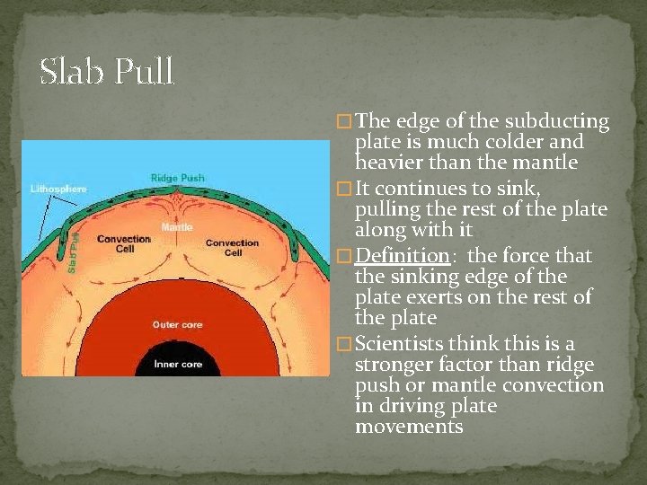 Slab Pull � The edge of the subducting plate is much colder and heavier