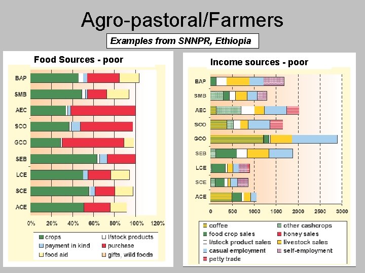 Agro-pastoral/Farmers Examples from SNNPR, Ethiopia Food Sources - poor Income sources - poor 