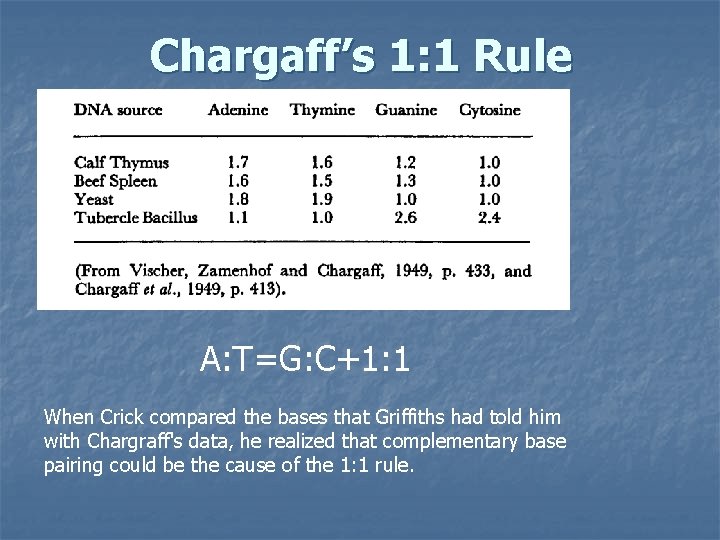 Chargaff’s 1: 1 Rule A: T=G: C+1: 1 When Crick compared the bases that