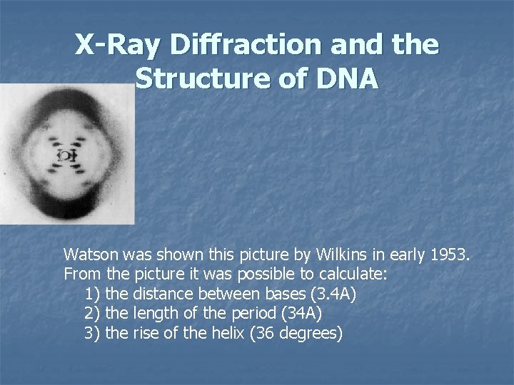 X-Ray Diffraction and the Structure of DNA Watson was shown this picture by Wilkins
