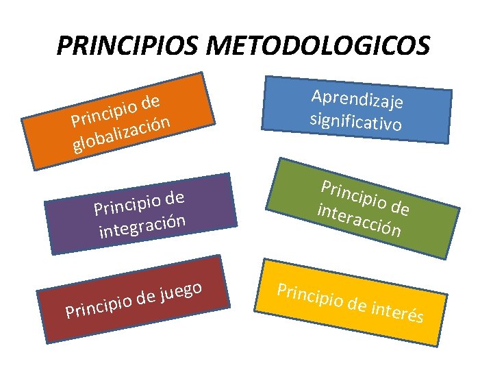 PRINCIPIOS METODOLOGICOS e d o i p i Princ ación z i l a