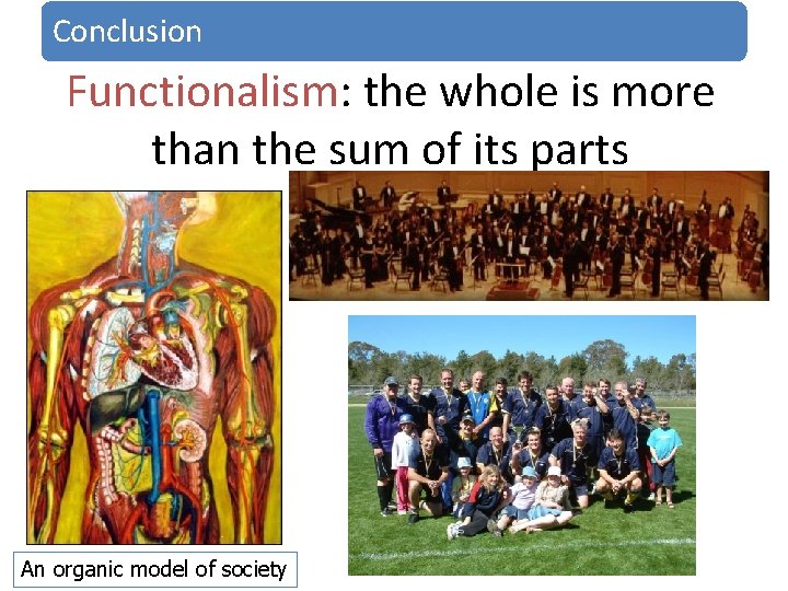 Conclusion Functionalism: the whole is more than the sum of its parts An organic