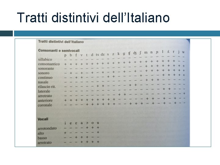 Tratti distintivi dell’Italiano 