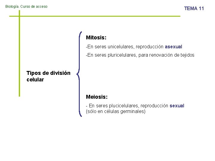 Biología. Curso de acceso TEMA 11 Mitosis: -En seres unicelulares, reproducción asexual -En seres