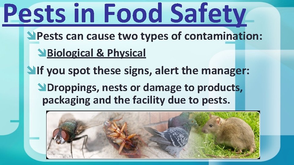 Pests in Food Safety Pests can cause two types of contamination: Biological & Physical