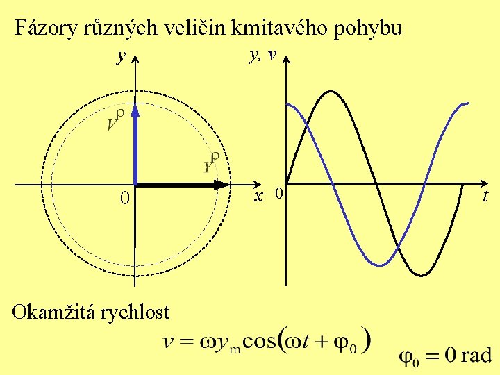 Fázory různých veličin kmitavého pohybu y y, v 0 x 0 Okamžitá rychlost t