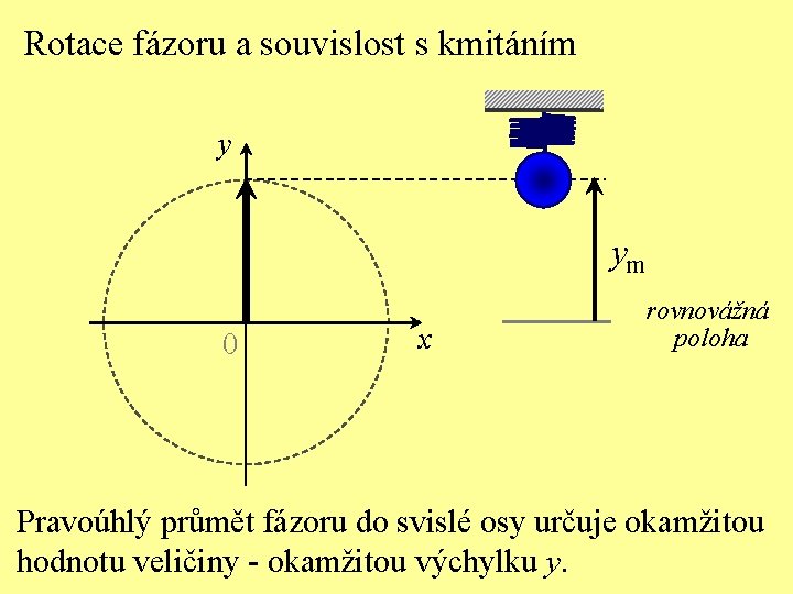 Rotace fázoru a souvislost s kmitáním y ym 0 x rovnovážná poloha Pravoúhlý průmět