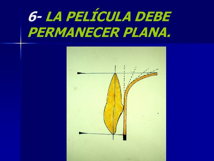 6 - LA PELÍCULA DEBE PERMANECER PLANA. 