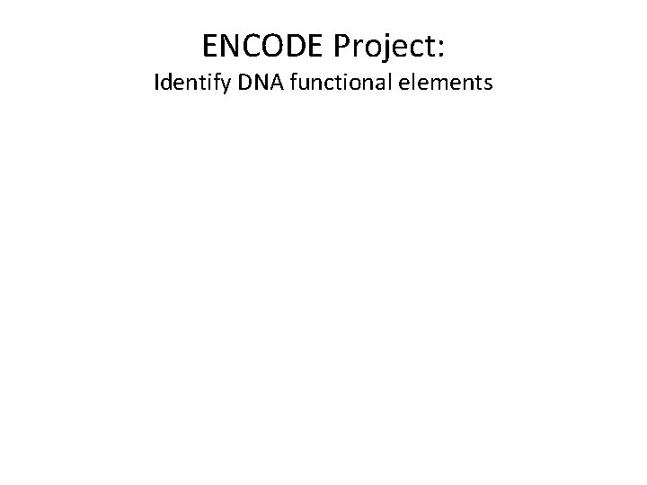 ENCODE Project: Identify DNA functional elements 
