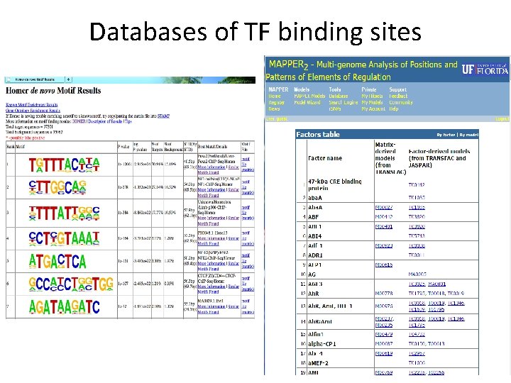 Databases of TF binding sites 