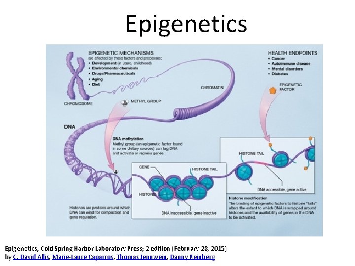 Epigenetics, Cold Spring Harbor Laboratory Press; 2 edition (February 28, 2015) by C. David
