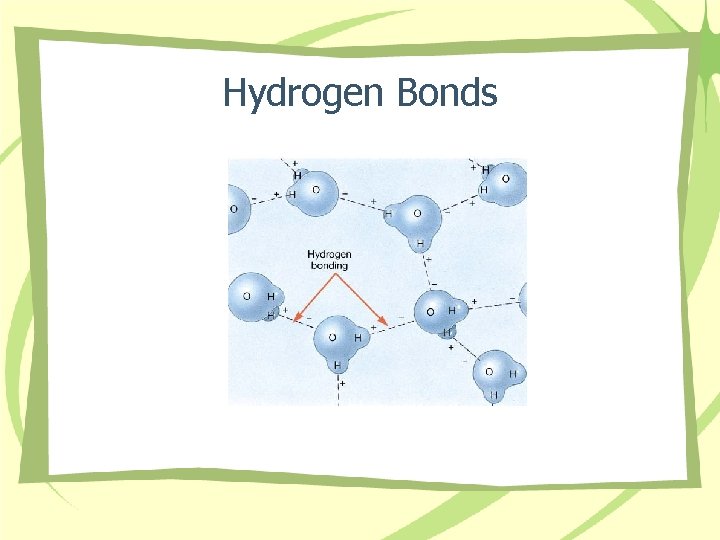 Hydrogen Bonds 