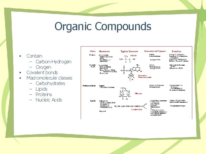 Organic Compounds • • • Contain – Carbon-Hydrogen – Oxygen Covalent bonds Macromolecule classes