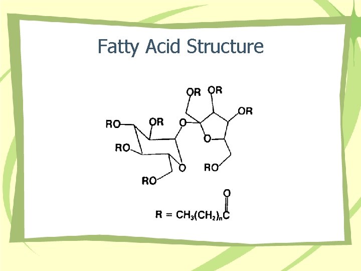 Fatty Acid Structure 