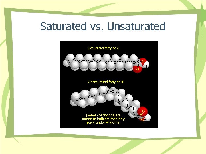 Saturated vs. Unsaturated 