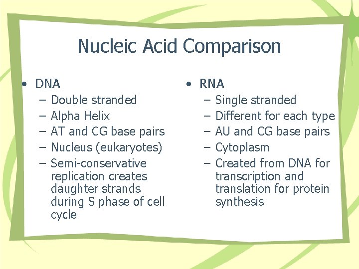 Nucleic Acid Comparison • DNA • RNA – – – – – Double stranded