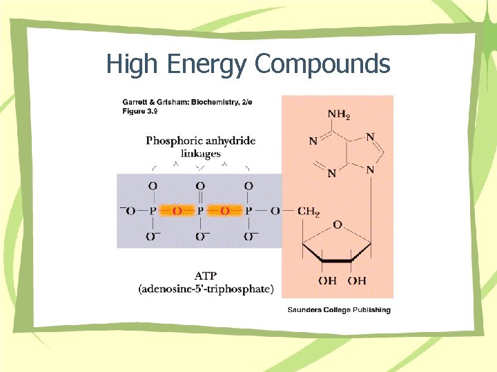 High Energy Compounds 