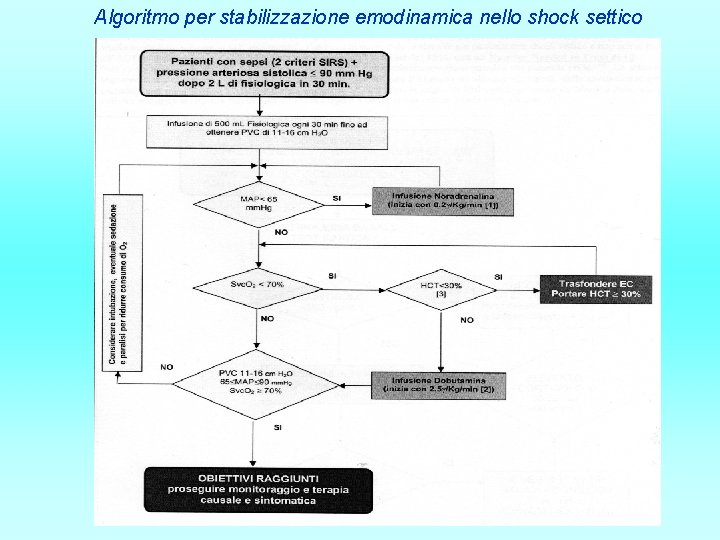 Algoritmo per stabilizzazione emodinamica nello shock settico 