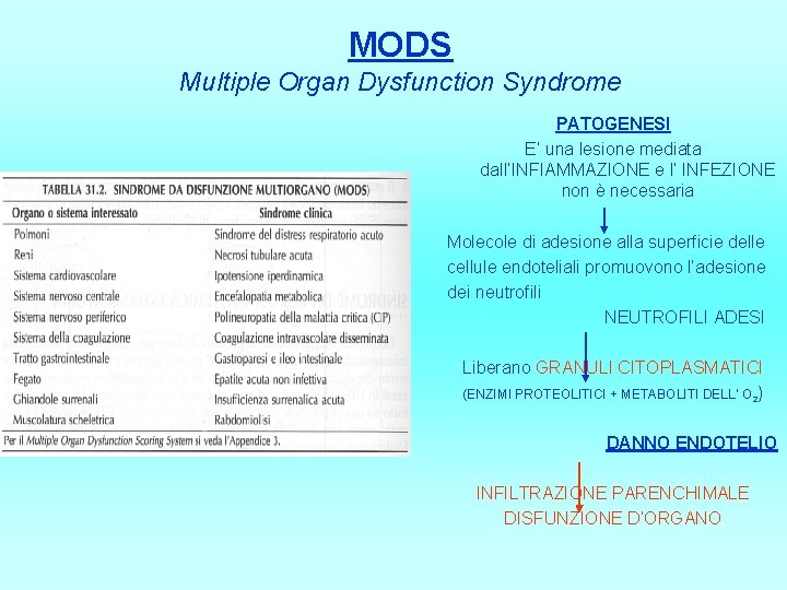 MODS Multiple Organ Dysfunction Syndrome PATOGENESI E’ una lesione mediata dall’INFIAMMAZIONE e l’ INFEZIONE