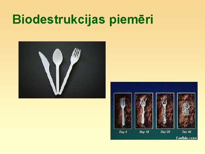 Biodestrukcijas piemēri 