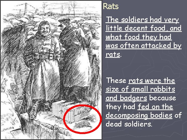 Rats The soldiers had very little decent food, and what food they had was