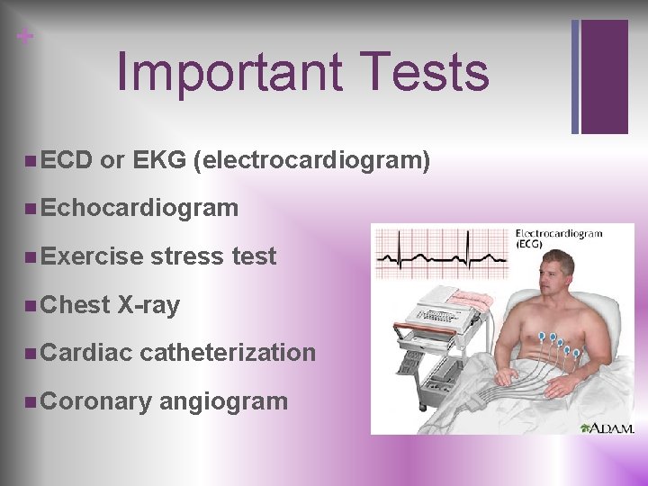 + n ECD Important Tests or EKG (electrocardiogram) n Echocardiogram n Exercise n Chest