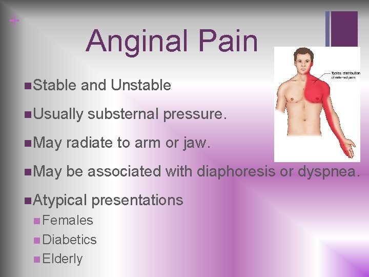 + Anginal Pain n Stable and Unstable n Usually substernal pressure. n May radiate