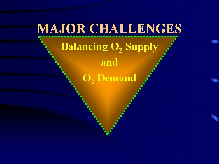 MAJOR CHALLENGES Balancing O 2 Supply and O 2 Demand 