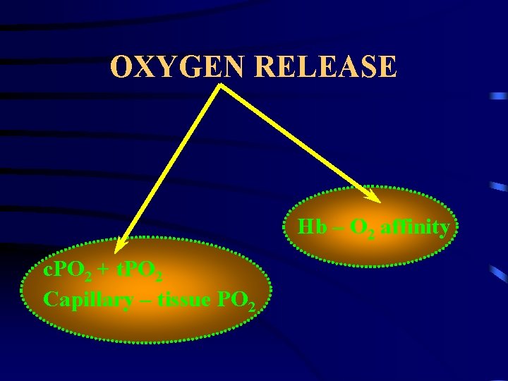 OXYGEN RELEASE Hb – O 2 affinity c. PO 2 + t. PO 2