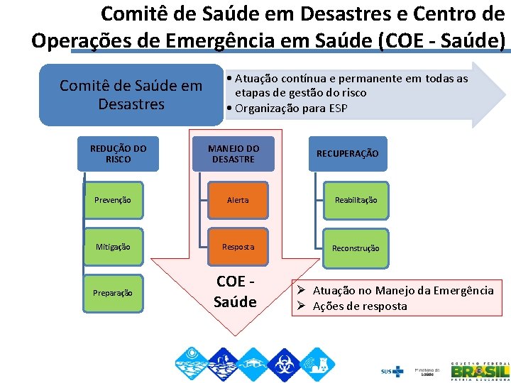 Comitê de Saúde em Desastres e Centro de Operações de Emergência em Saúde (COE